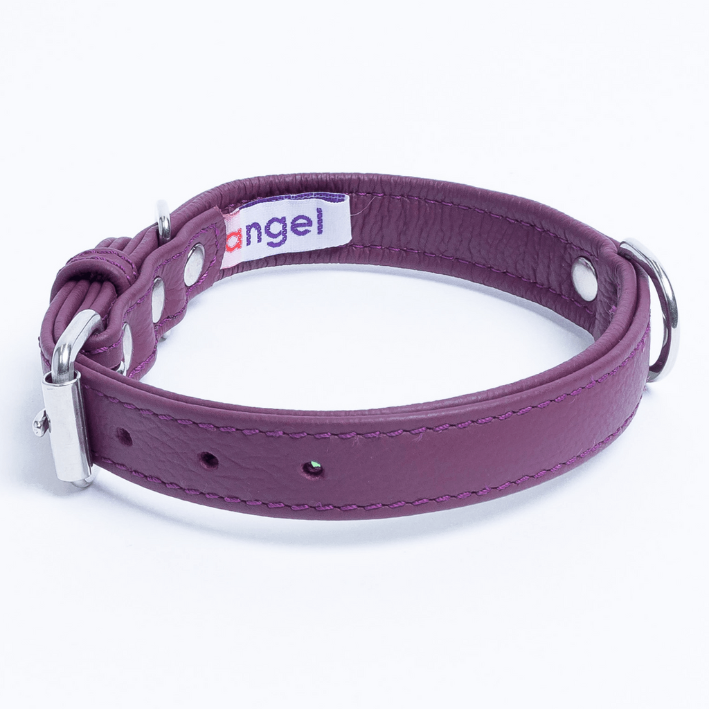 Glamorous Pups : Alpine Collar