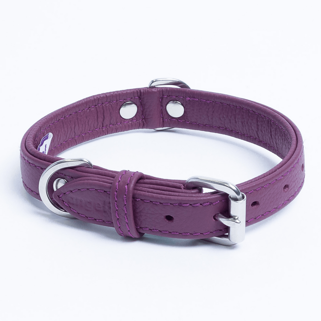 Glamorous Pups : Alpine Collar