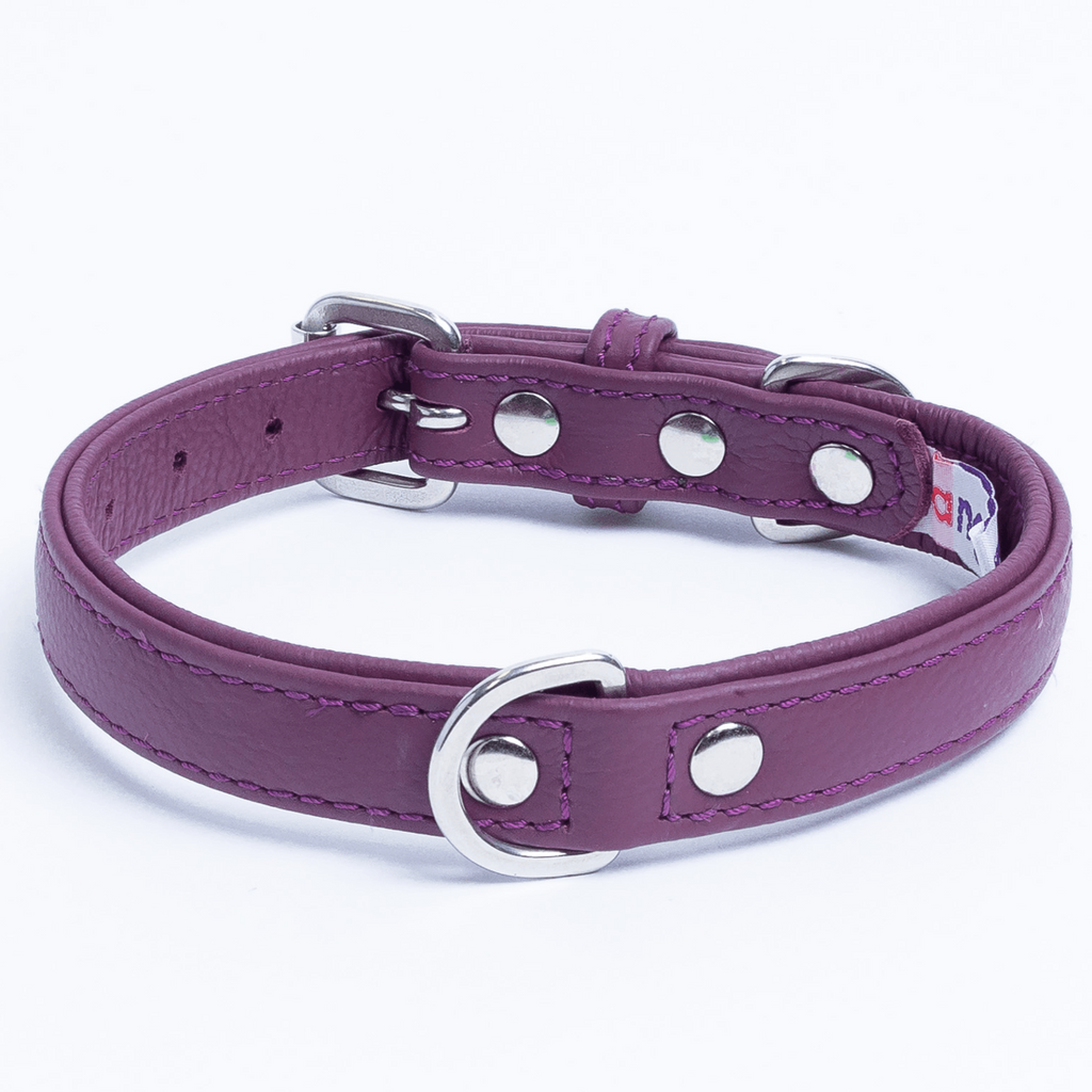 Glamorous Pups : Alpine Collar