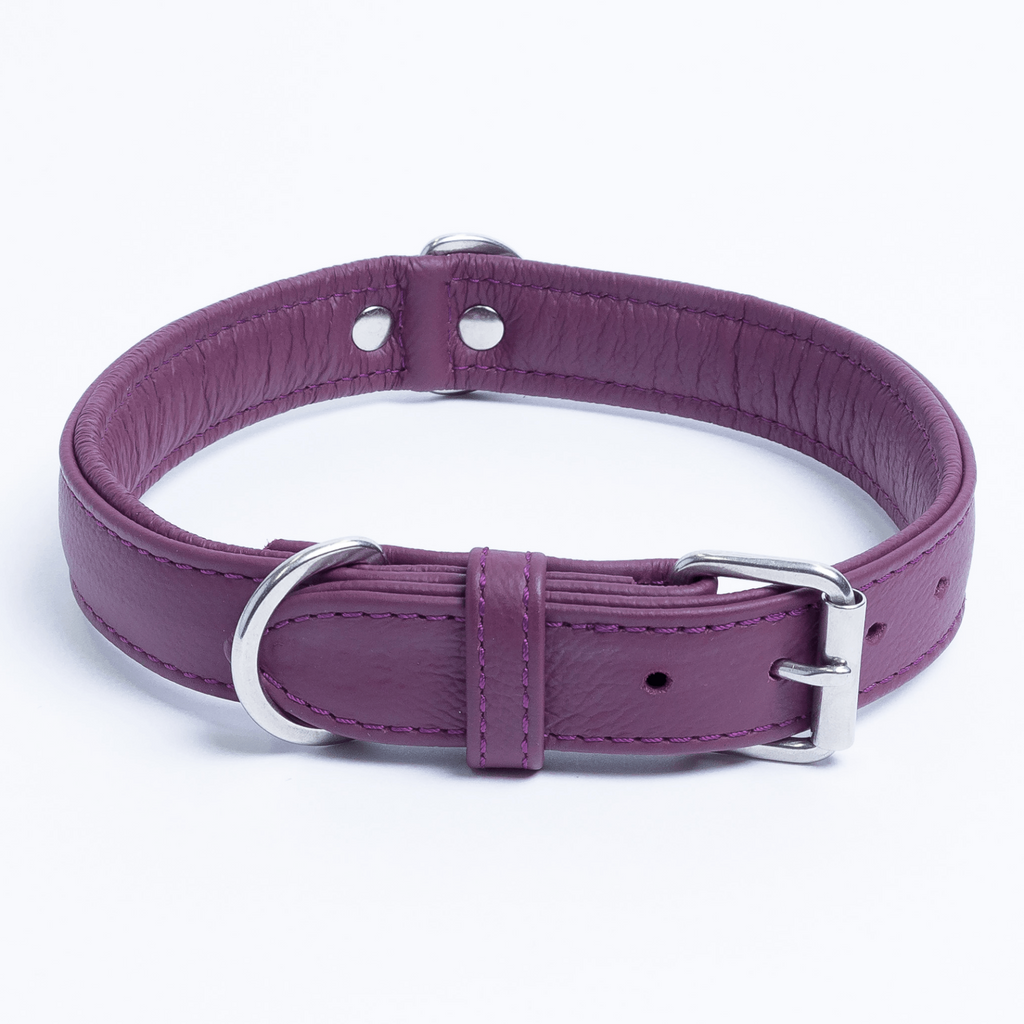 Glamorous Pups : Alpine Collar