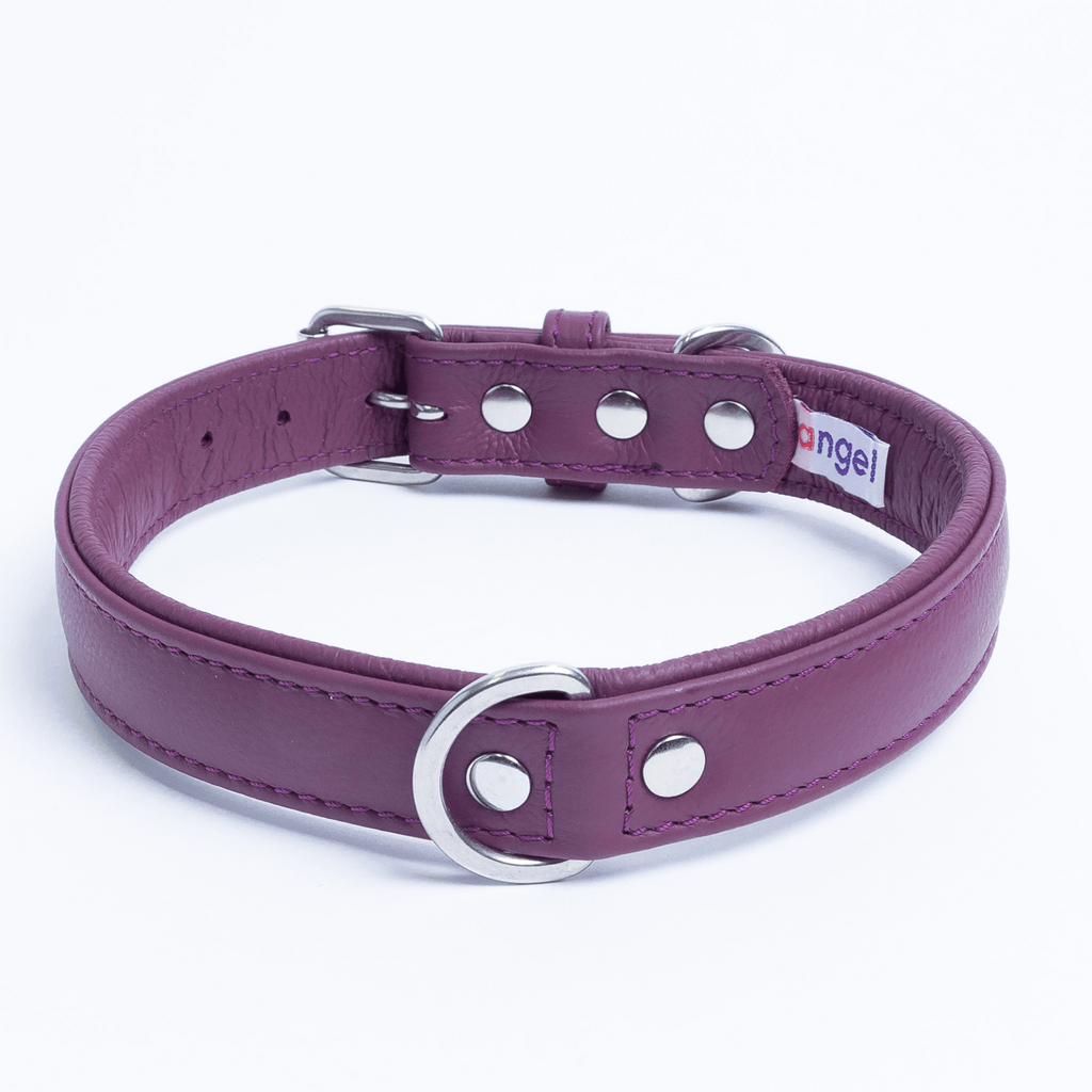 Glamorous Pups : Alpine Collar