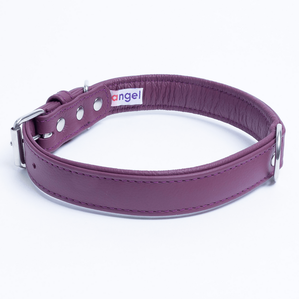 Glamorous Pups : Alpine Collar