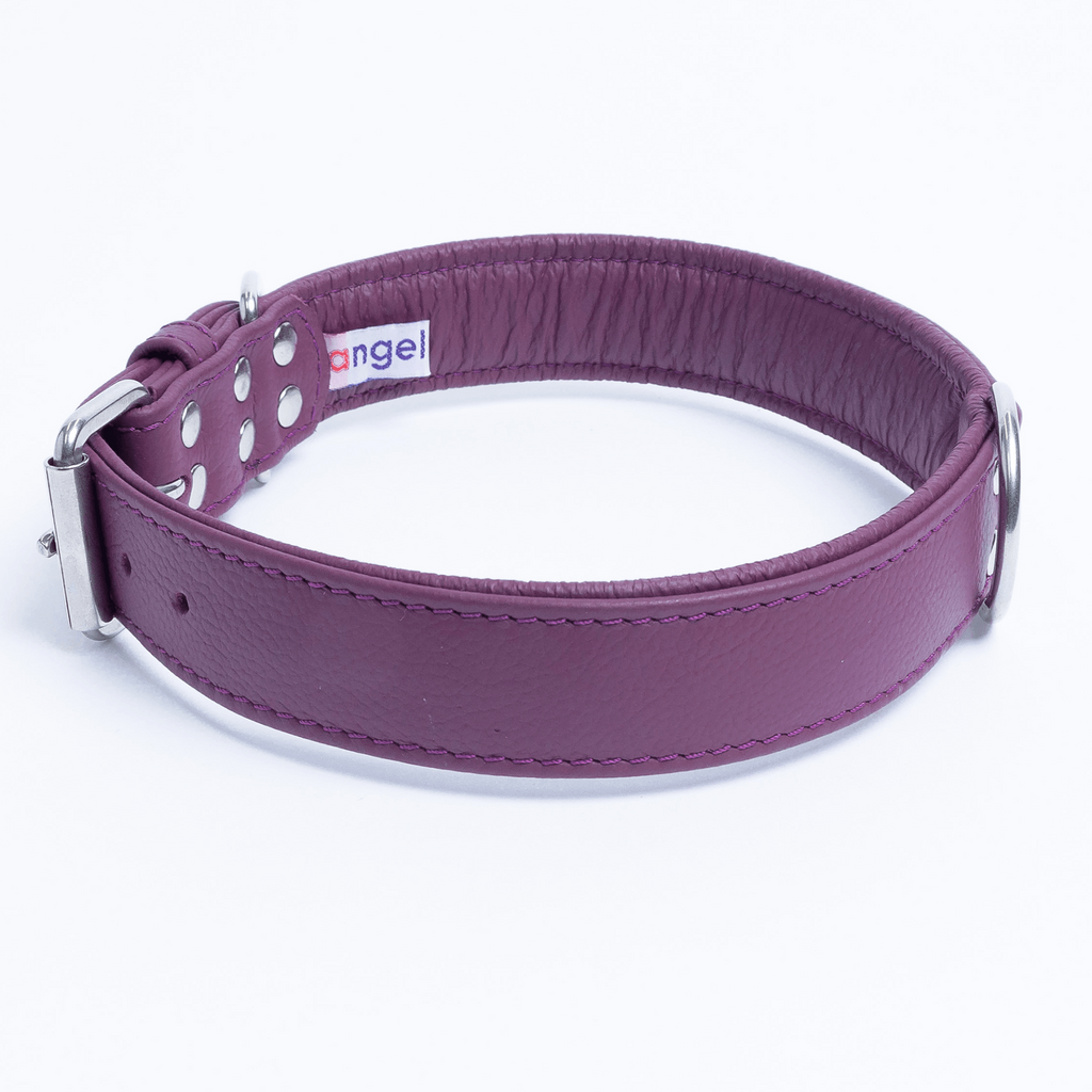 Glamorous Pups : Alpine Collar