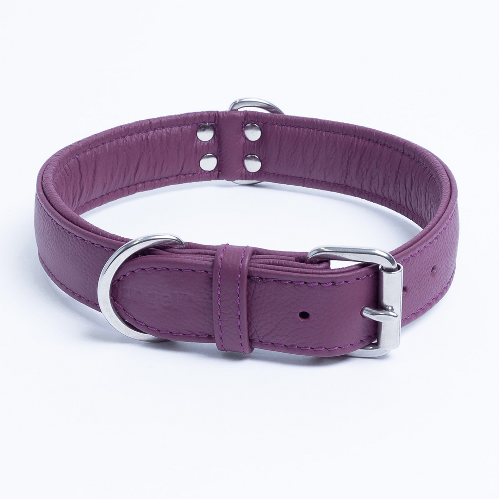 Glamorous Pups : Alpine Collar