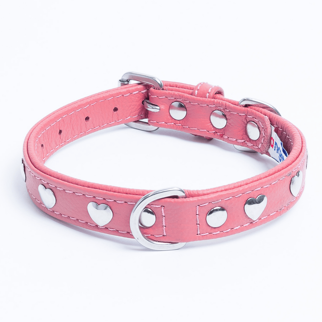 Glamorous Pups : Rotterdam Hearts Leather Dog Collar – Genuine Leather Heart-Studded Collar for Stylish Pups