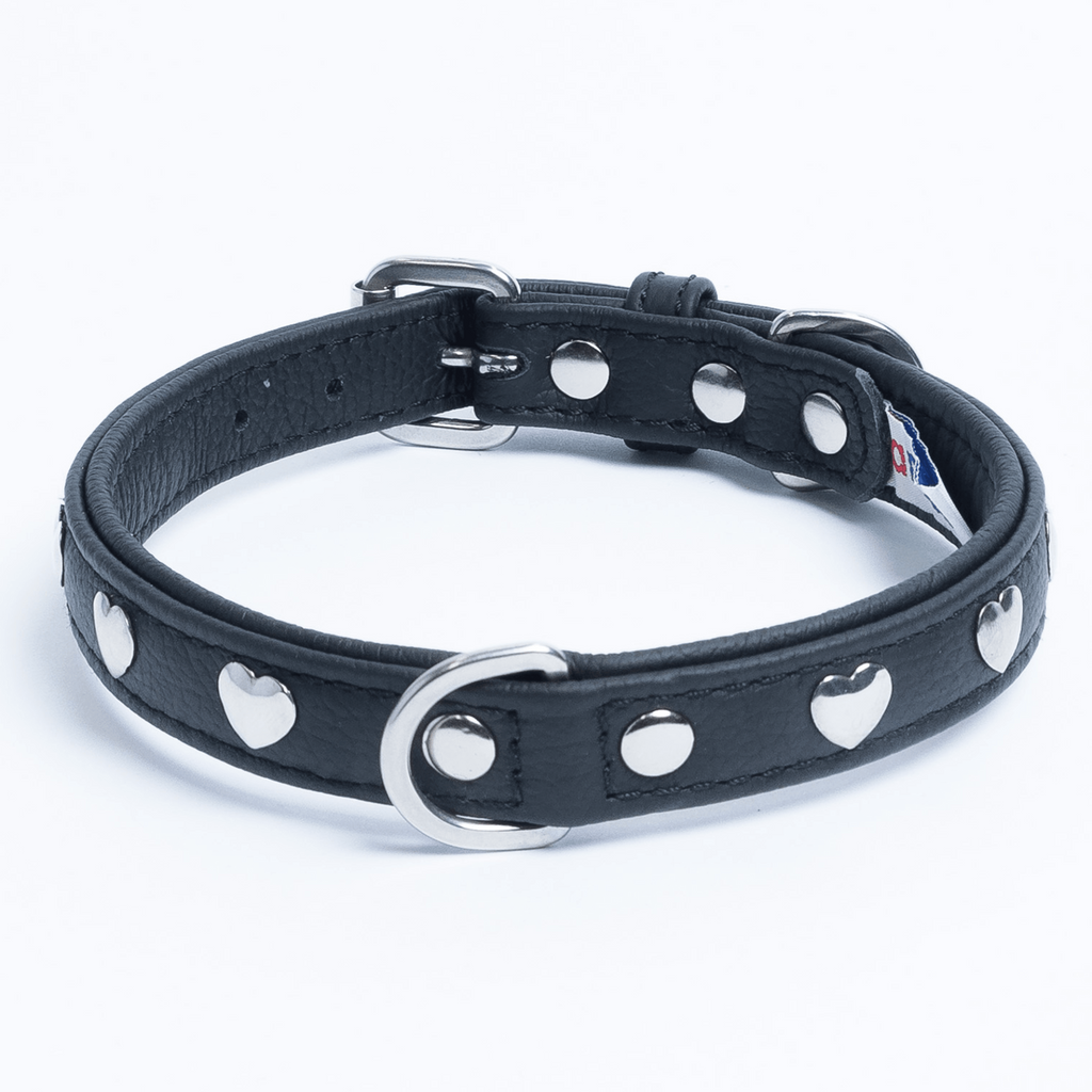 Glamorous Pups : Rotterdam Hearts Leather Dog Collar – Genuine Leather Heart-Studded Collar for Stylish Pups