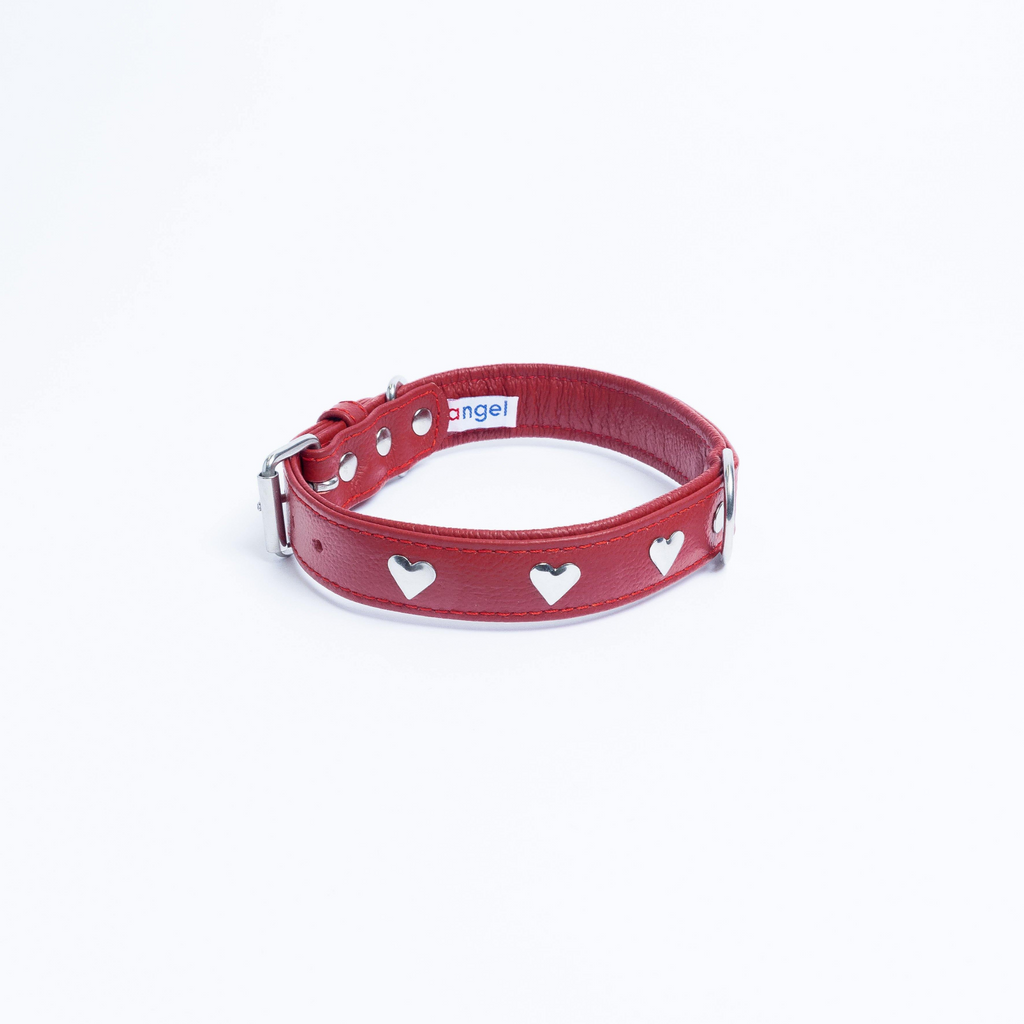 Glamorous Pups : Rotterdam Hearts Leather Dog Collar – Genuine Leather Heart-Studded Collar for Stylish Pups