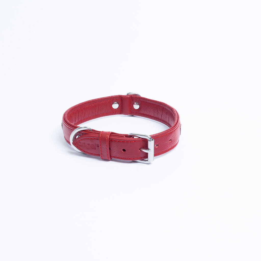 Glamorous Pups : Rotterdam Hearts Leather Dog Collar – Genuine Leather Heart-Studded Collar for Stylish Pups