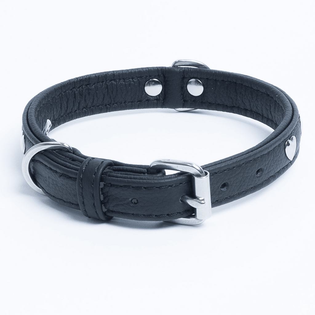 Glamorous Pups : Rotterdam Hearts Leather Dog Collar – Genuine Leather Heart-Studded Collar for Stylish Pups