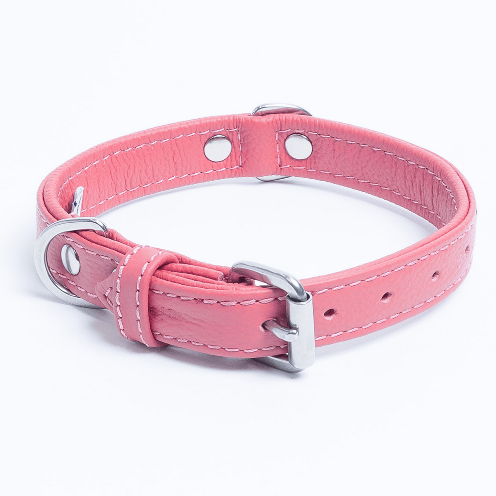 Glamorous Pups : Rotterdam Hearts Leather Dog Collar – Genuine Leather Heart-Studded Collar for Stylish Pups