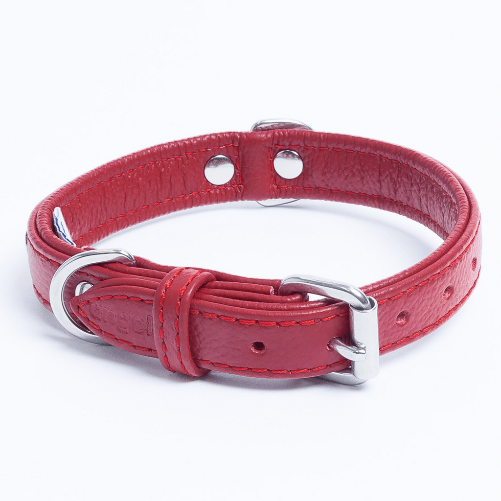 Glamorous Pups : Rotterdam Hearts Leather Dog Collar – Genuine Leather Heart-Studded Collar for Stylish Pups