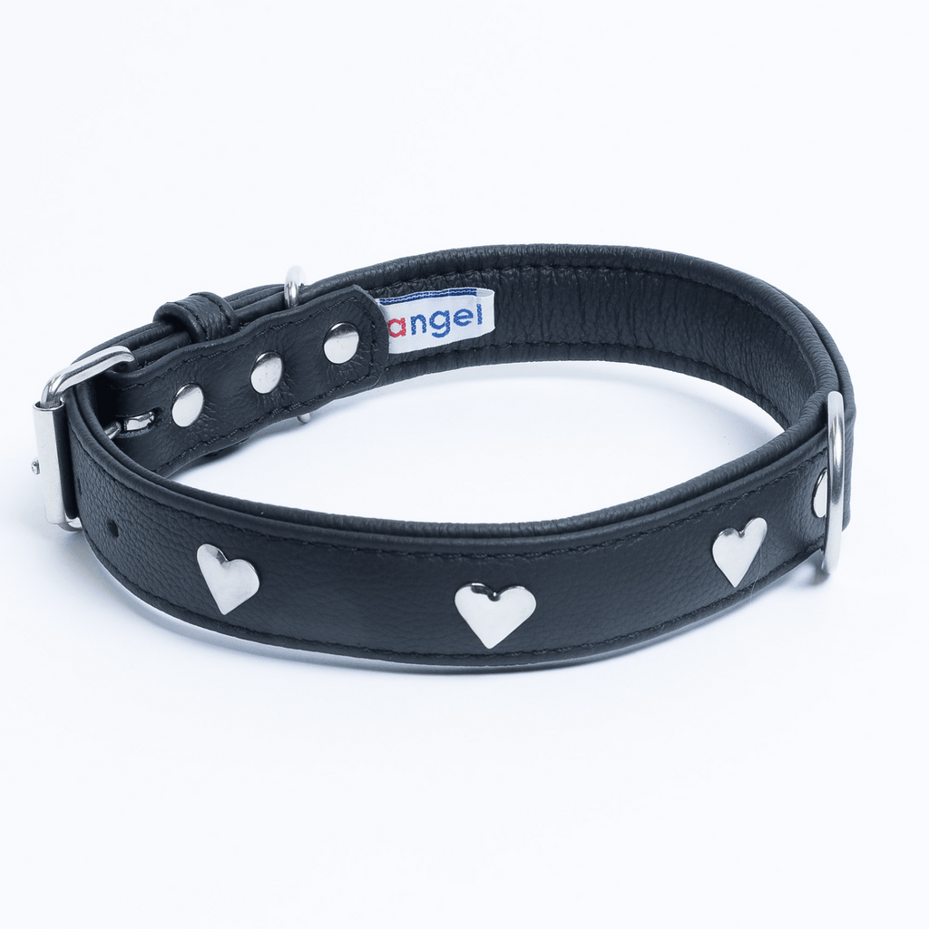 Glamorous Pups : Rotterdam Hearts Leather Dog Collar – Genuine Leather Heart-Studded Collar for Stylish Pups