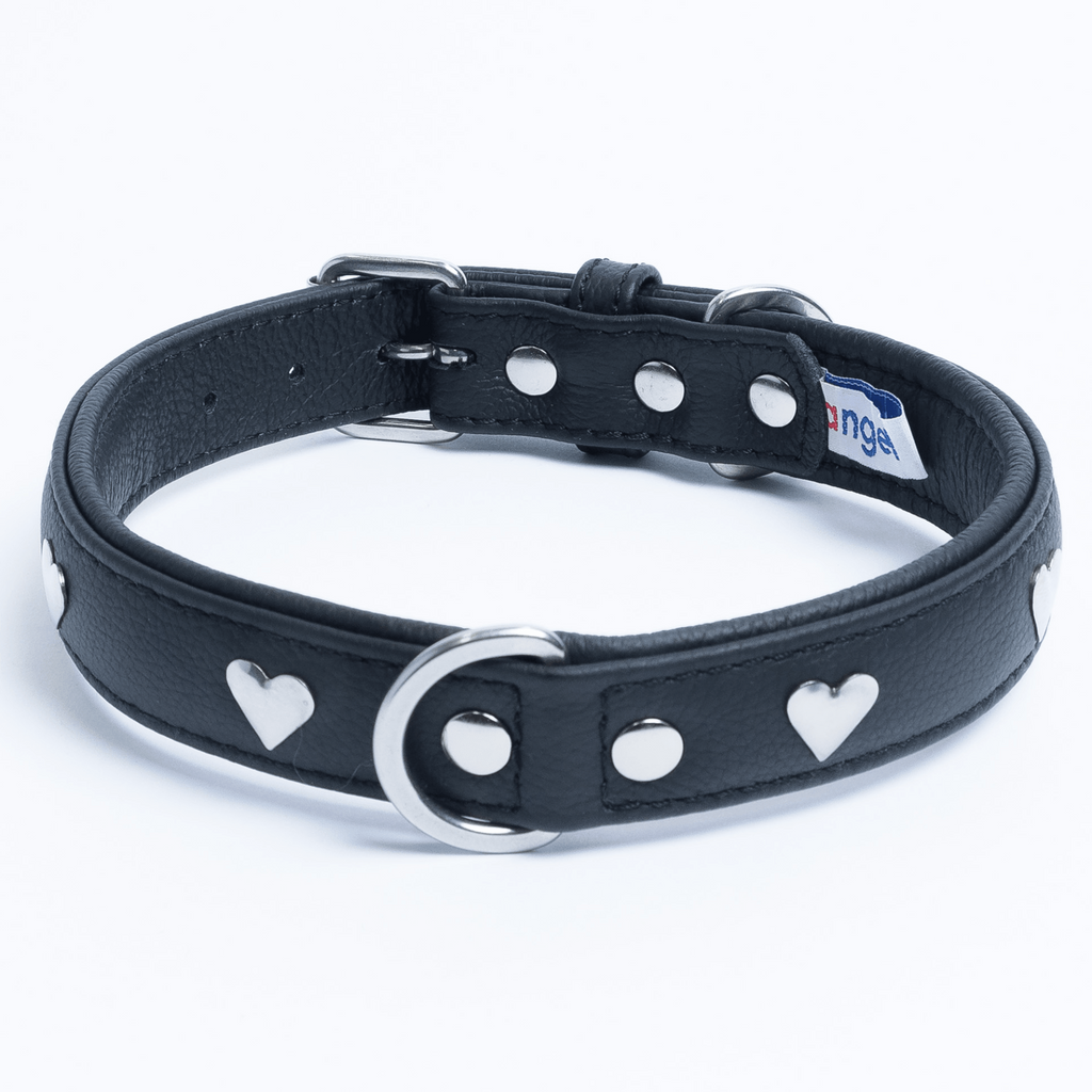 Glamorous Pups : Rotterdam Hearts Leather Dog Collar – Genuine Leather Heart-Studded Collar for Stylish Pups