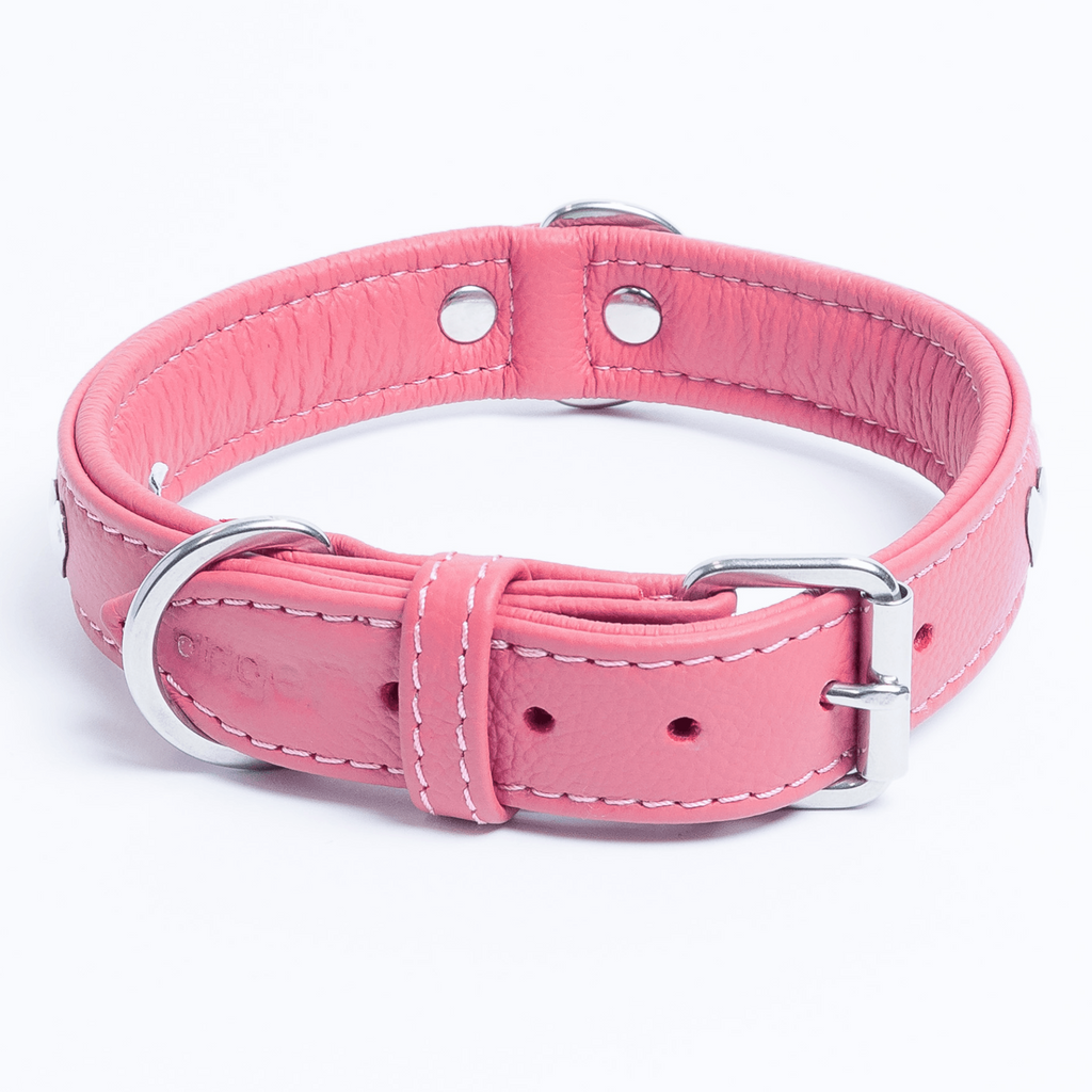 Glamorous Pups : Rotterdam Hearts Leather Dog Collar – Genuine Leather Heart-Studded Collar for Stylish Pups