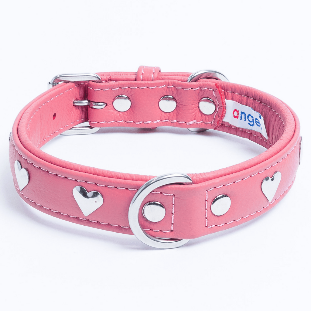 Glamorous Pups : Rotterdam Hearts Leather Dog Collar – Genuine Leather Heart-Studded Collar for Stylish Pups