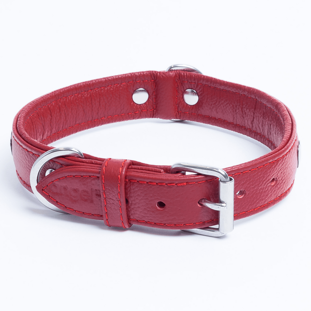 Glamorous Pups : Rotterdam Hearts Leather Dog Collar – Genuine Leather Heart-Studded Collar for Stylish Pups
