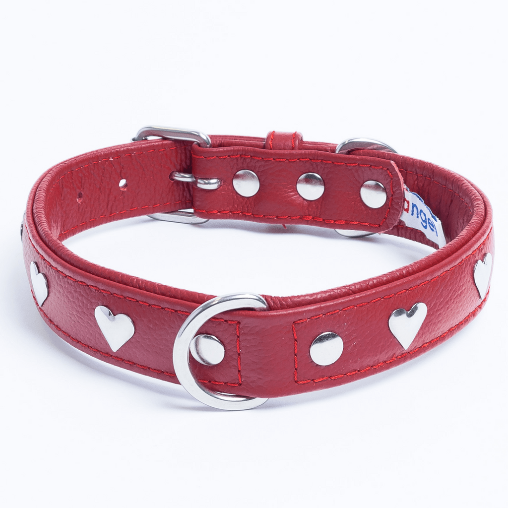 Glamorous Pups : Rotterdam Hearts Leather Dog Collar – Genuine Leather Heart-Studded Collar for Stylish Pups