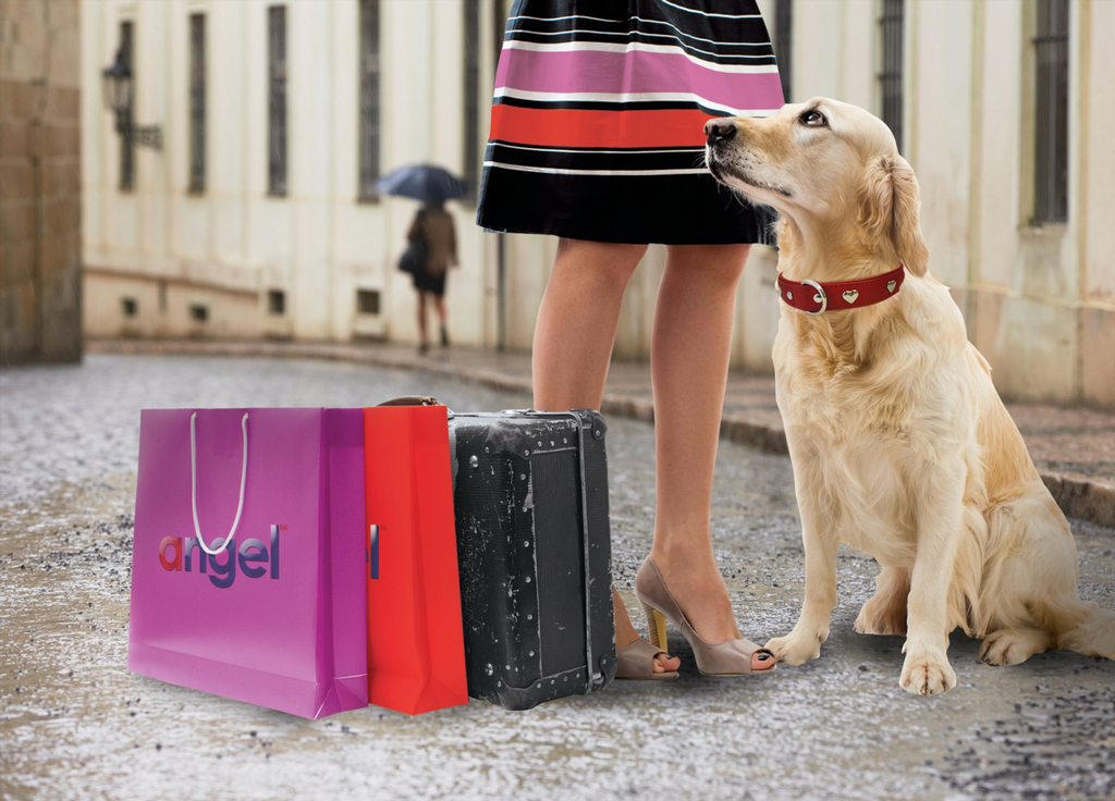 Glamorous Pups : Rotterdam Hearts Leather Dog Collar – Genuine Leather Heart-Studded Collar for Stylish Pups