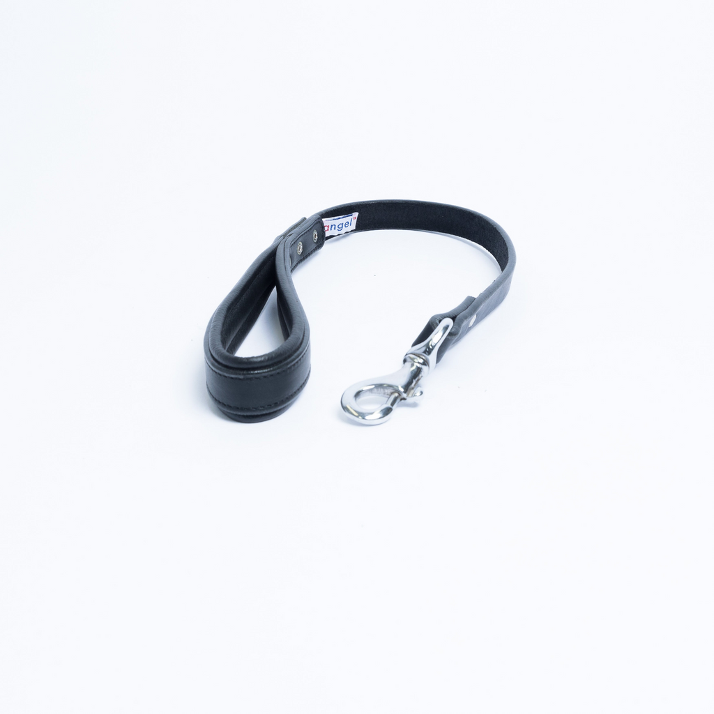 Glamorous Pups : Dallas Leash