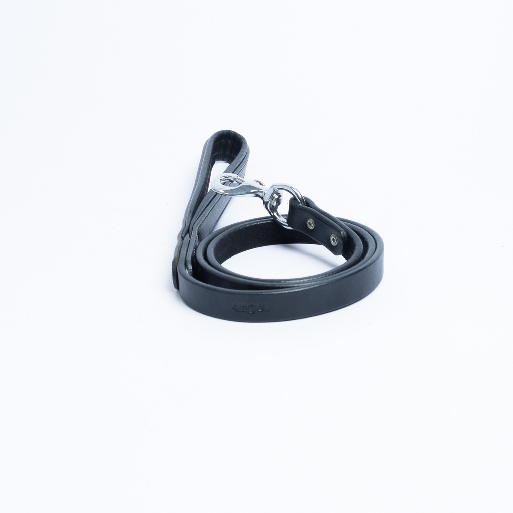 Glamorous Pups : Dallas Leash