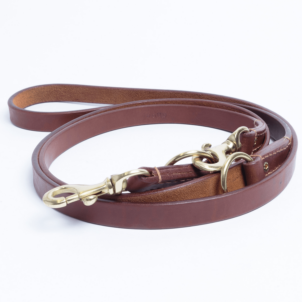 Glamorous Pups : Multi-function Leash