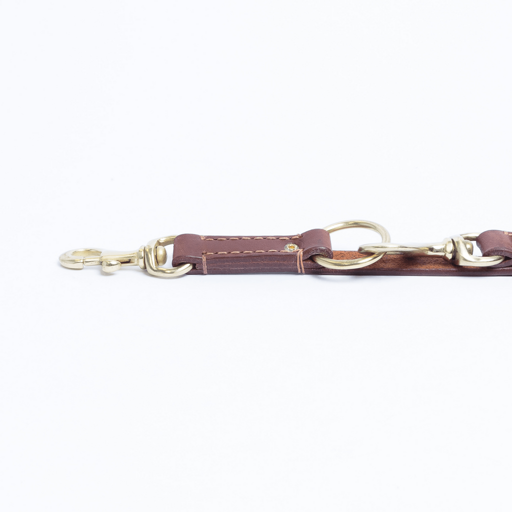 Glamorous Pups : Multi-function Leash
