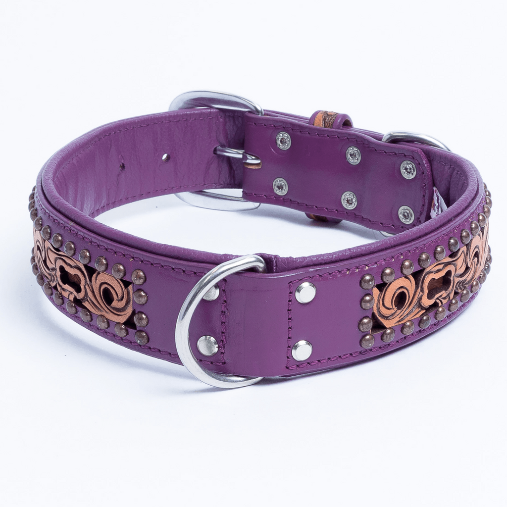 Glamorous Pups : San Antonio Hand-Carved Leather Dog Collar – Western Bone Cutout Design with Hair-On Leather, Brass Studs & Padded Comfort