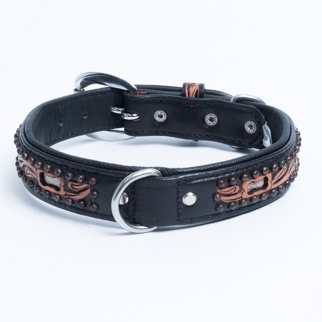 Glamorous Pups : San Antonio Hand-Carved Leather Dog Collar – Western Bone Cutout Design with Hair-On Leather, Brass Studs & Padded Comfort