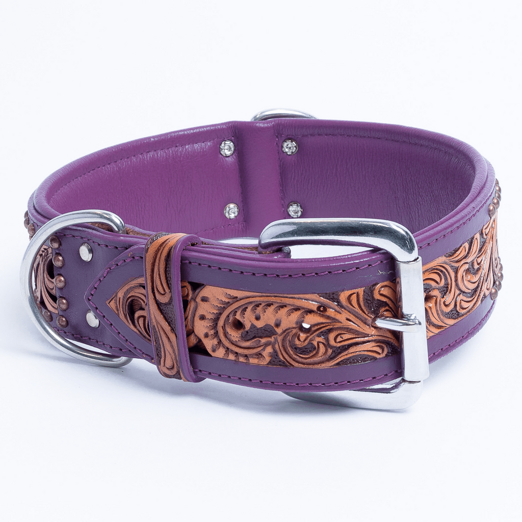 Glamorous Pups : San Antonio Hand-Carved Leather Dog Collar – Western Bone Cutout Design with Hair-On Leather, Brass Studs & Padded Comfort
