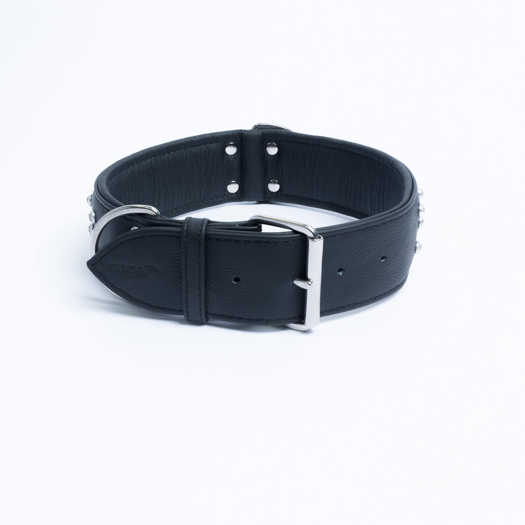 Glamorous Pups : Athens