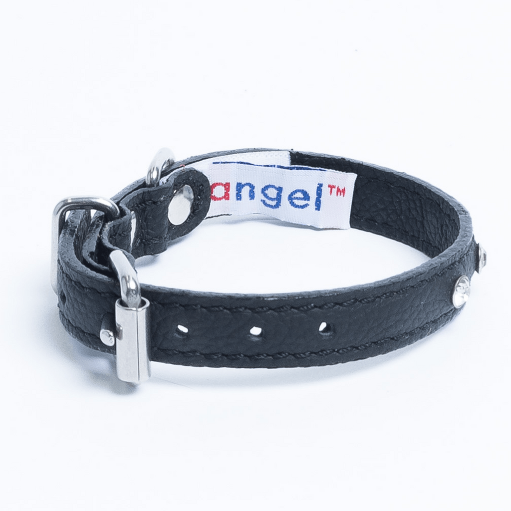 Glamorous Pups : Athens