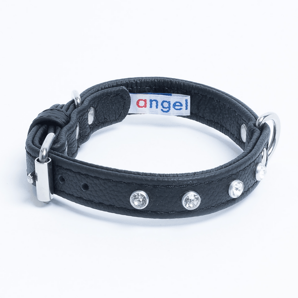 Glamorous Pups : Athens