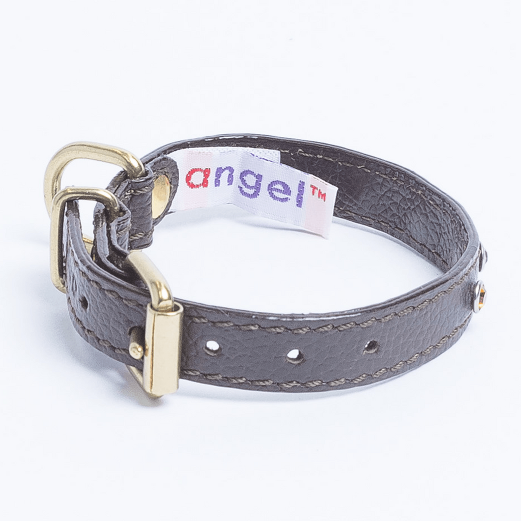 Glamorous Pups : Athens