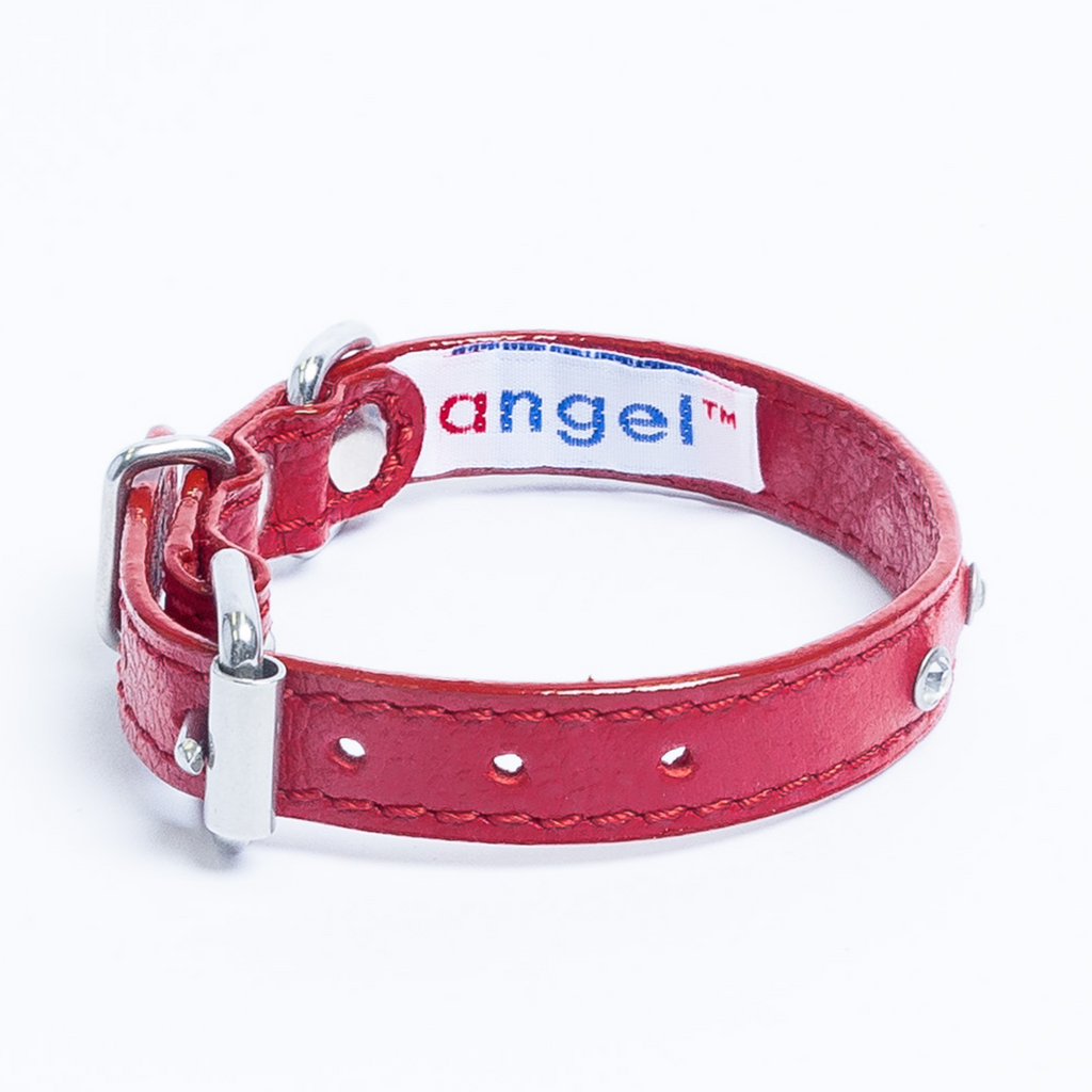 Glamorous Pups : Athens