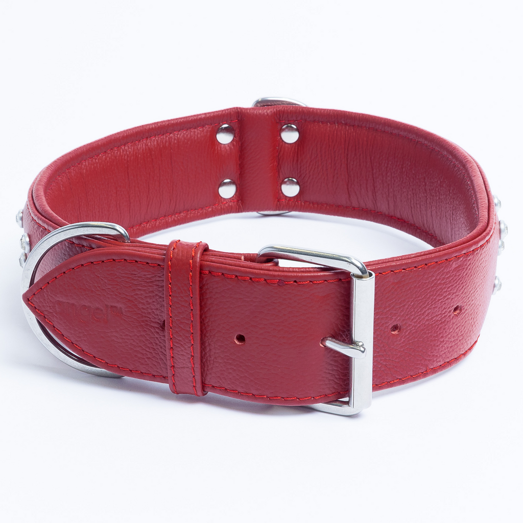 Glamorous Pups : Athens