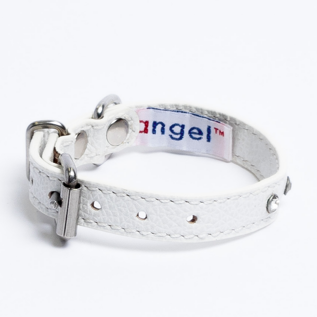 Glamorous Pups : Athens