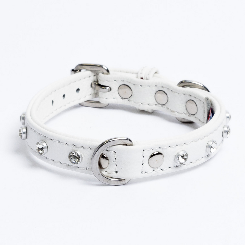 Glamorous Pups : Athens