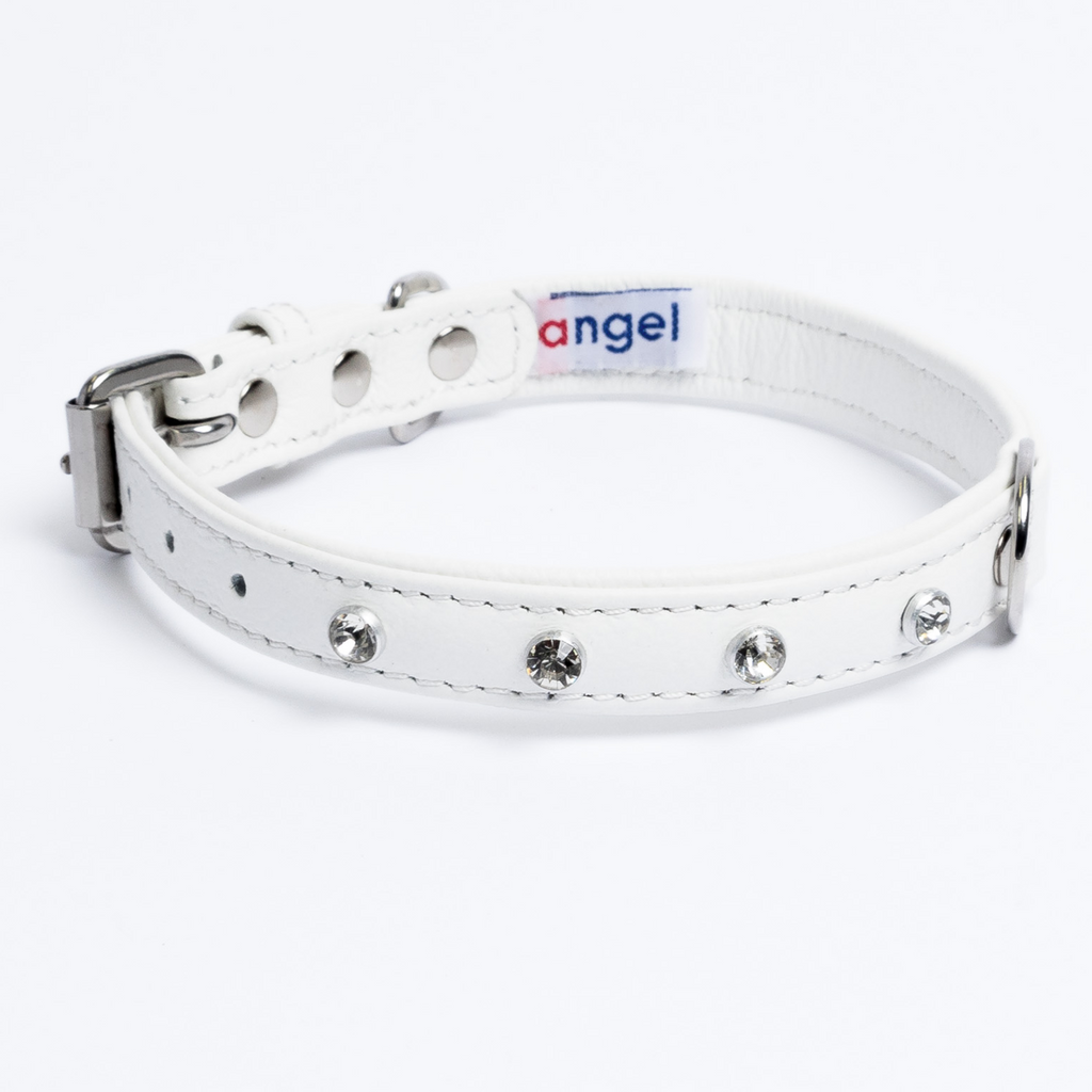 Glamorous Pups : Athens