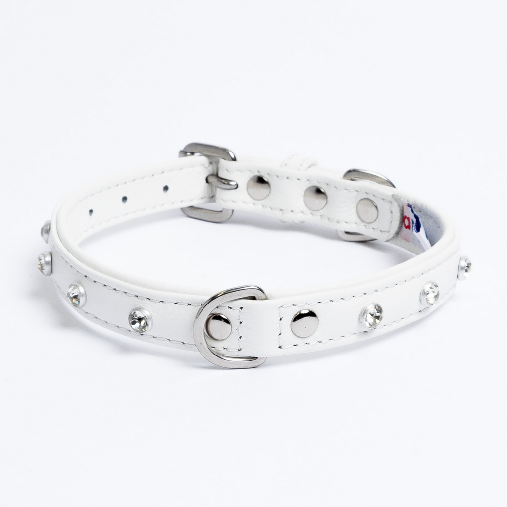 Glamorous Pups : Athens