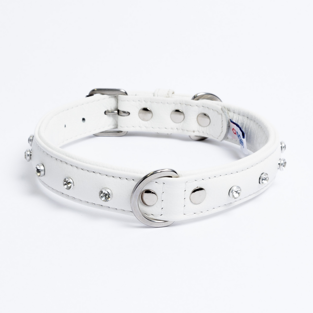 Glamorous Pups : Athens