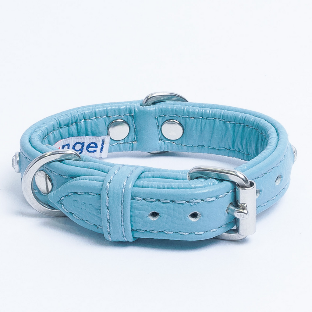 Glamorous Pups : Athens