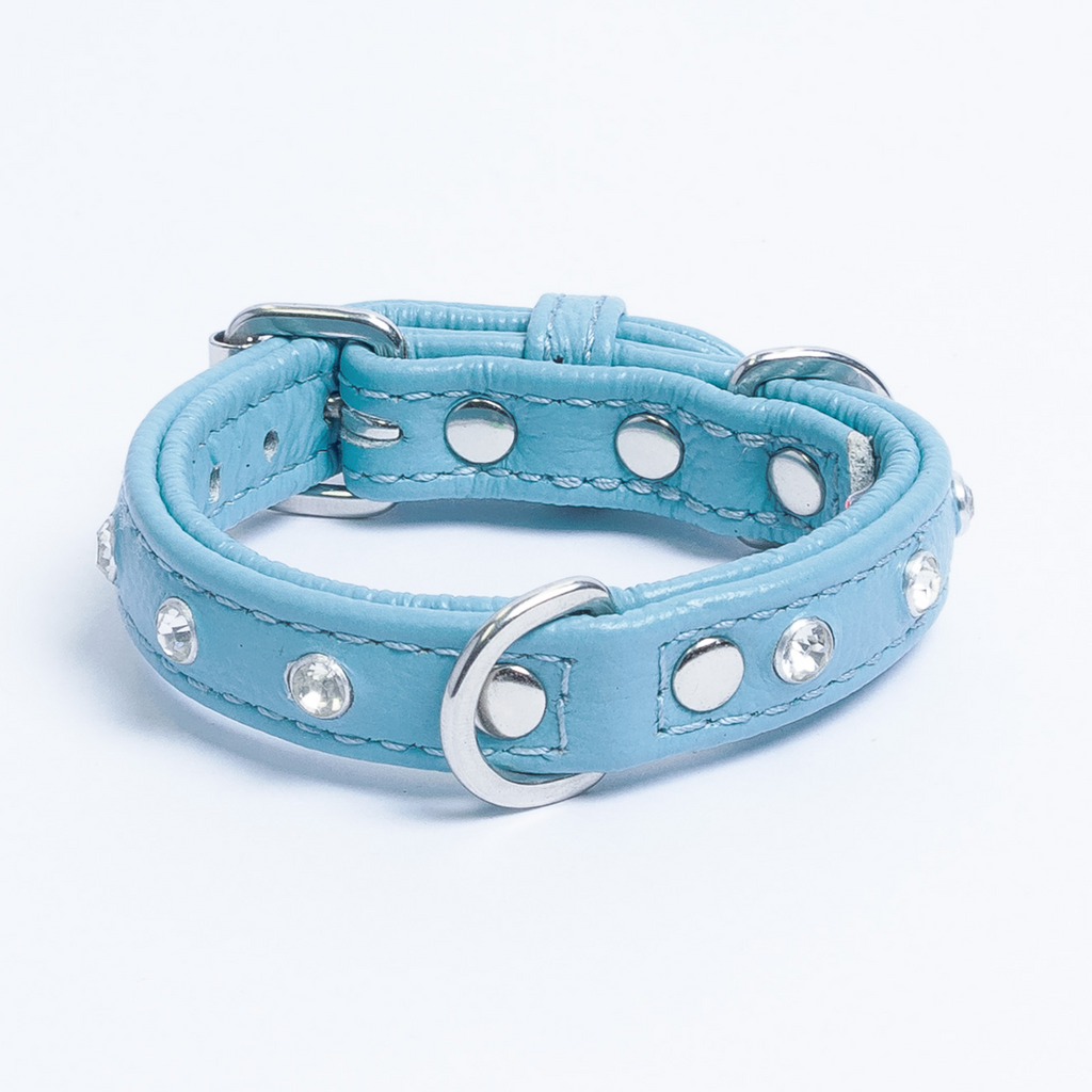 Glamorous Pups : Athens