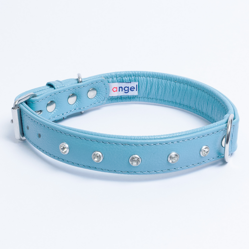 Glamorous Pups : Athens