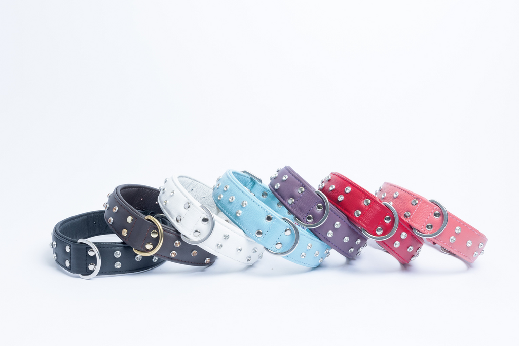 Glamorous Pups : Athens