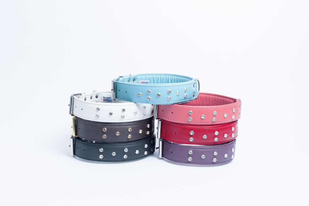 Glamorous Pups : Athens