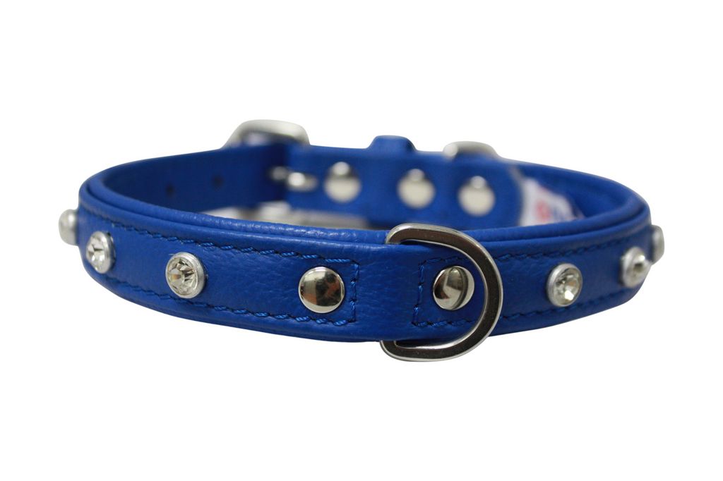 Glamorous Pups : Athens