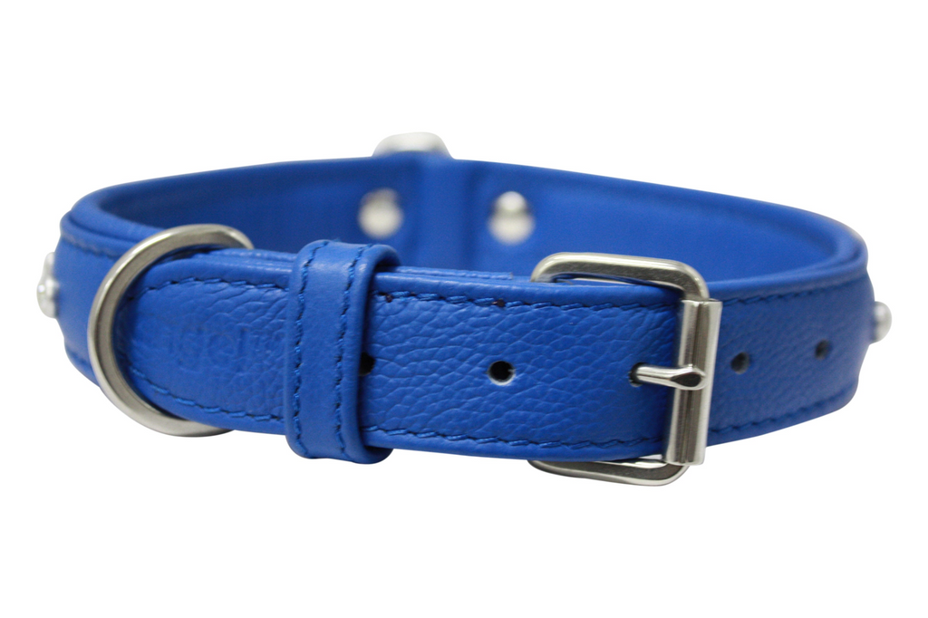 Glamorous Pups : Athens