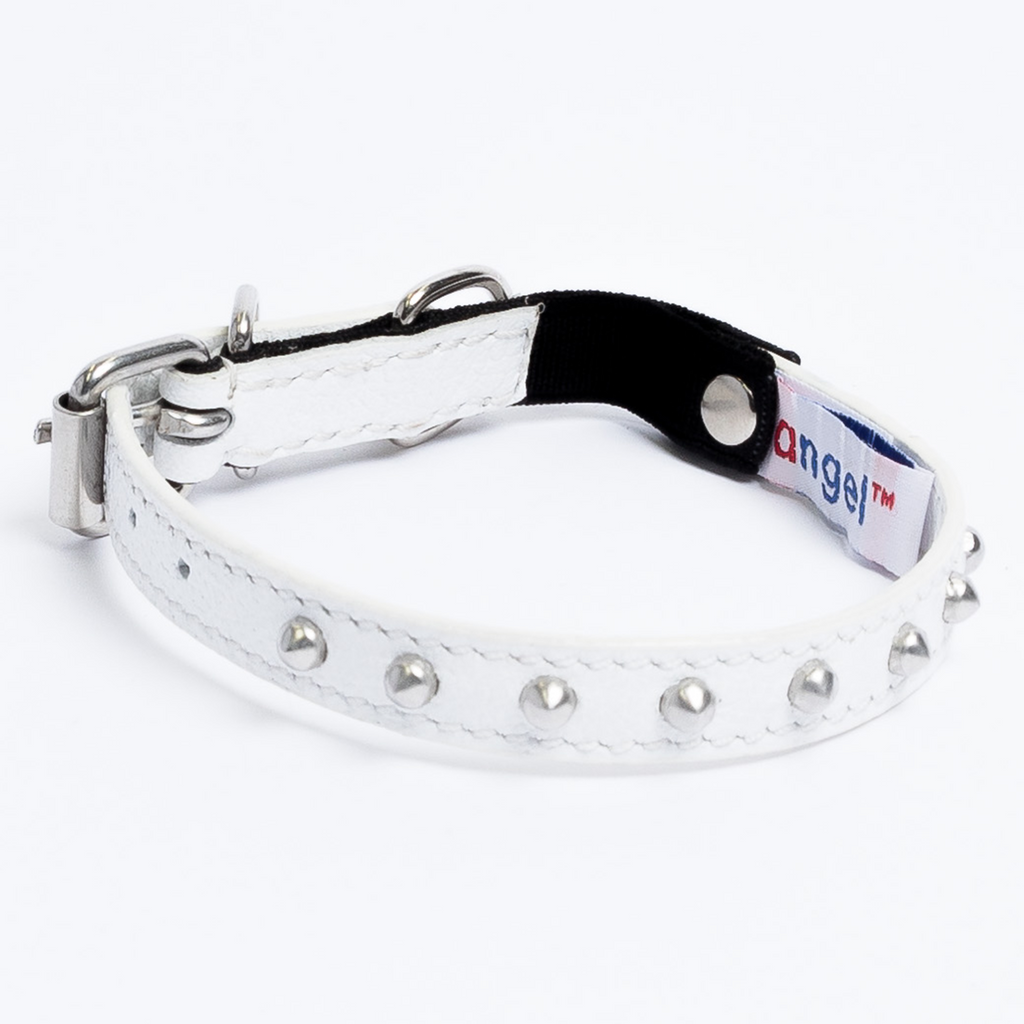 Glamorous Pups : Studded Leather Safety Cat Collar – Genuine Leather with Riveted Studs & Breakaway Stretch for Stylish, Safe Cats