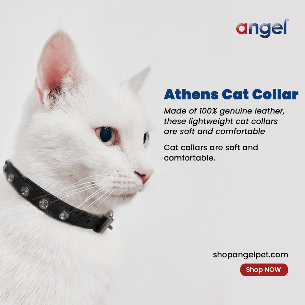 Glamorous Pups : Alpine Genuine Leather Breakaway Cat Collar – Soft, Lightweight, Safety Bell Design in 6 Colors