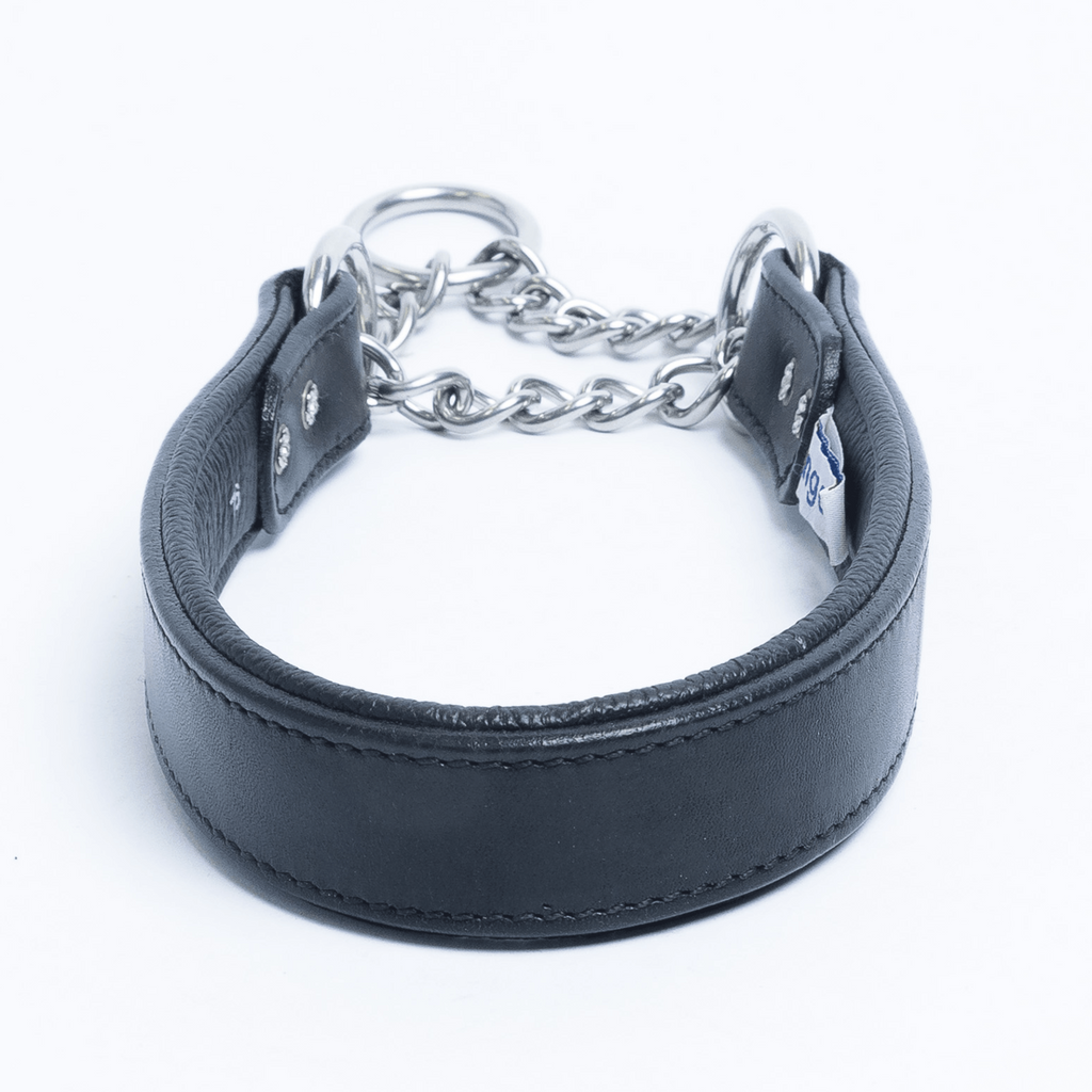 Glamorous Pups : Rio Leather Martingale Training Collar – Genuine Argentinean Leather, Soft Padded Interior & Humane Anti-Pull Design for Small to XL Dogs